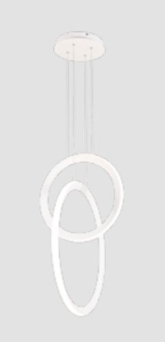 7191 (1).png