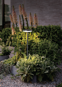 Lampa zewnętrzna Mantra Akita 8480